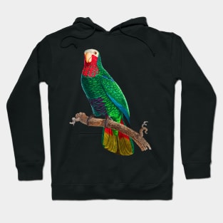 Black Panther Art - Beautiful Parrot 16 Hoodie